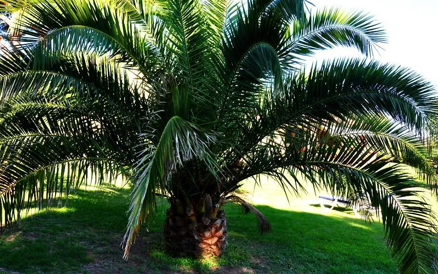 Appartamenti Pian D'Alma Punta Ala Italy